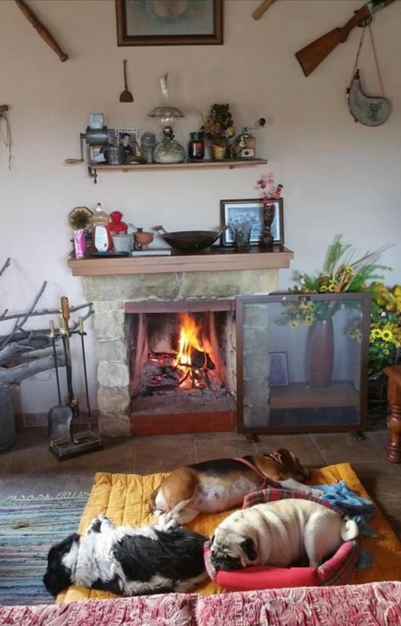 Beautiful 3 Bedr House In Arakapas With Fireplace Eksteriør bilde