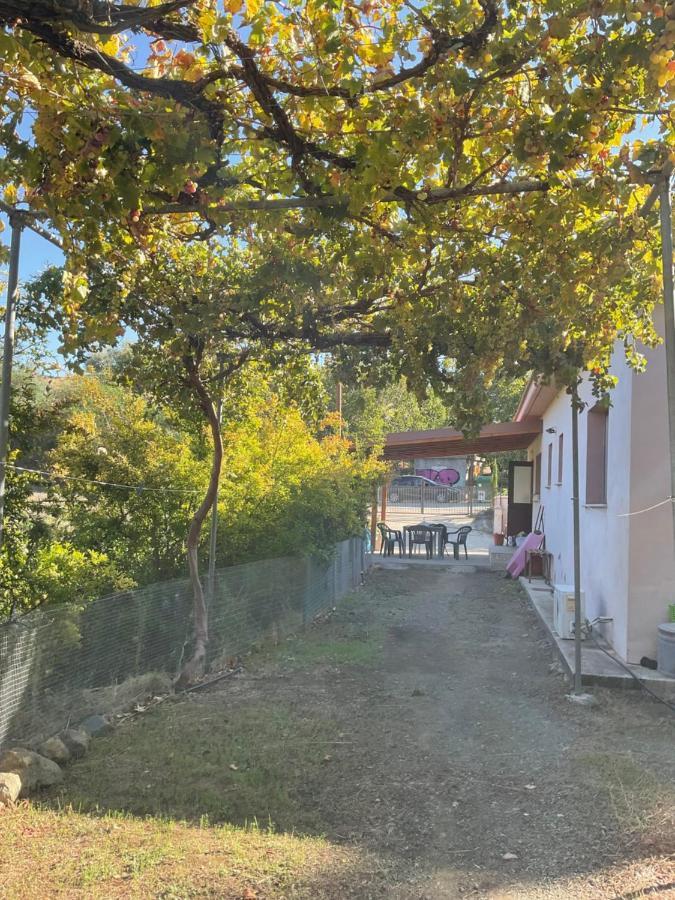 Beautiful 3 Bedr House In Arakapas With Fireplace Eksteriør bilde